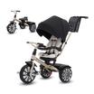 Mulliner Bentley 6 in 1 Stroller Trike