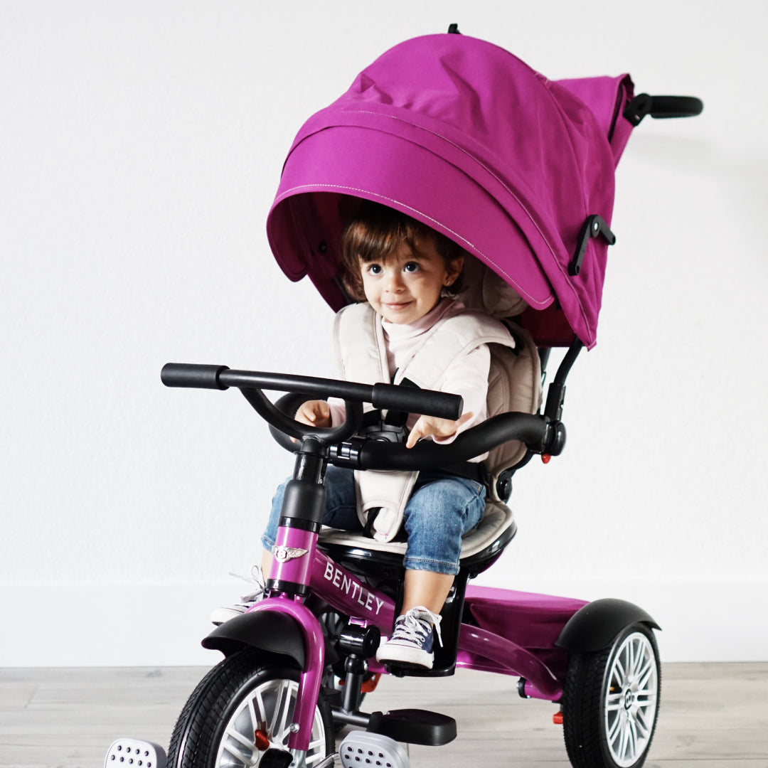 The Bentley Trike Buy Now BentleyTrikeCanada